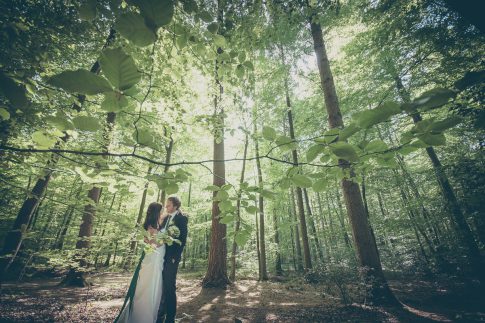 Brautpaar im Wald am Ellernteich in Rastede in Niedersachsen